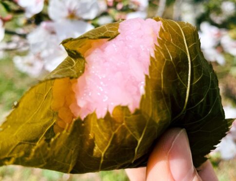近藤製菓の桜餅